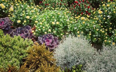 VE SVÁTEK 28.10.2025 ZAVŘENO